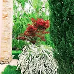 Gaia Trikala
