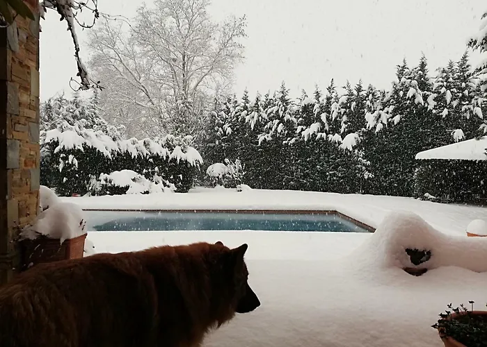 γαία τρίκαλα Βίλα Ligaria (Thessalia)